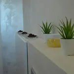 Nicho Bucurestii Noi Διαμέρισμα